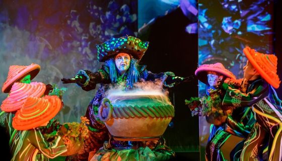 Музыкальный спектакль «Волшебник изумрудного города»