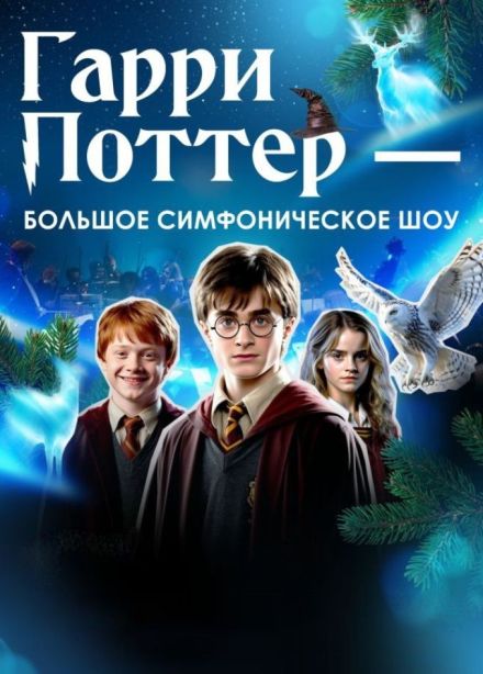 Концерт «Гарри Поттер - новогодняя симфоническая сюита», Тобольск