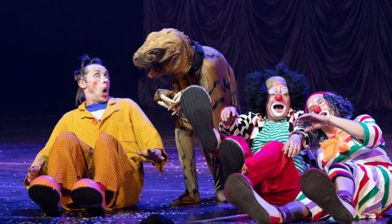 Цирковое шоу «Цирк Шмырк»