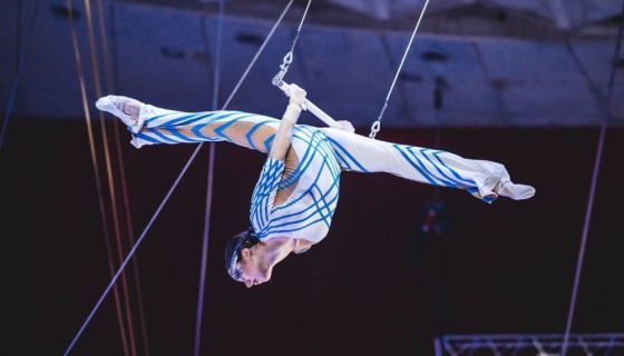 Цирк на льду «Айсберг»