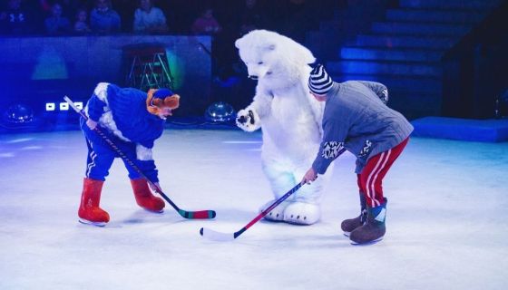 Цирк на льду «Айсберг»