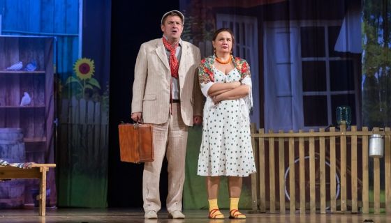 Спектакль «Любовь и голуби»