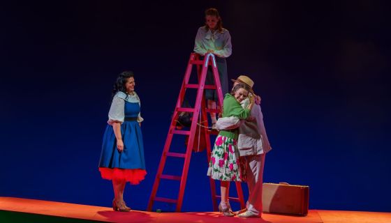 Мюзикл «Карнавальная ночь»