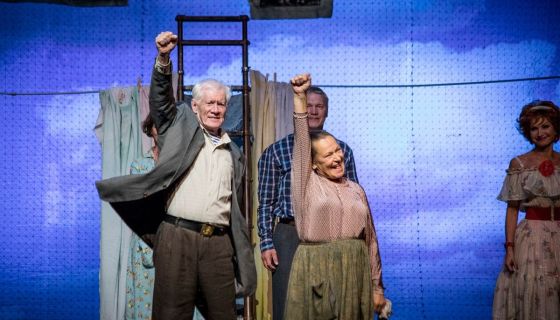 Спектакль «Любовь и голуби»