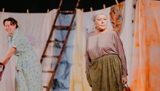 Спектакль «Любовь и голуби»