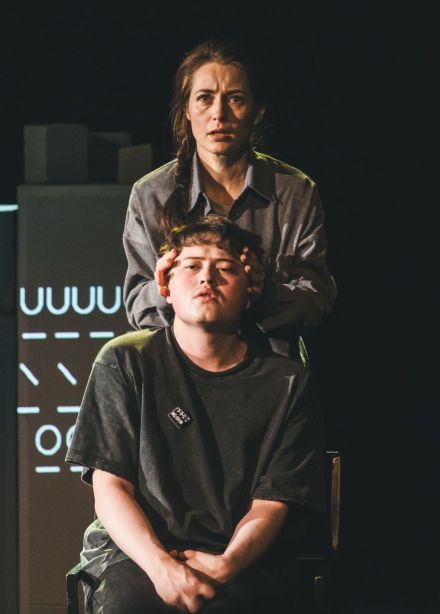 Спектакль «Дневник моей мамы»