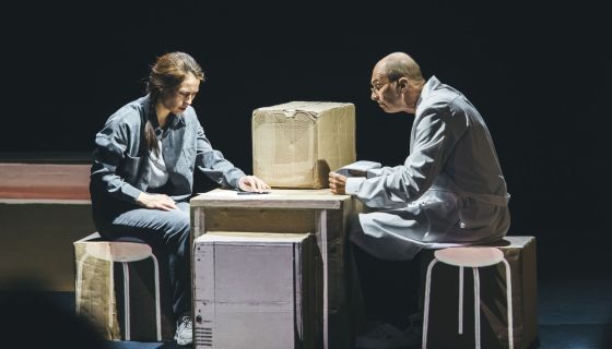 Спектакль «Дневник моей мамы»