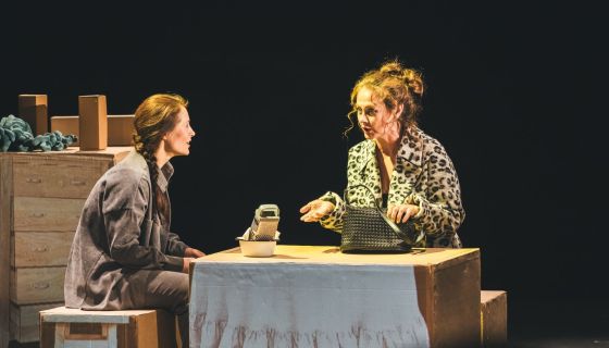 Спектакль «Дневник моей мамы»