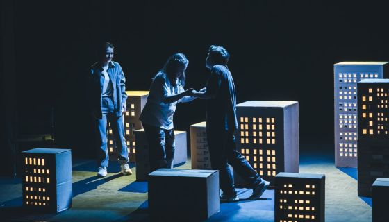 Спектакль «Дневник моей мамы»