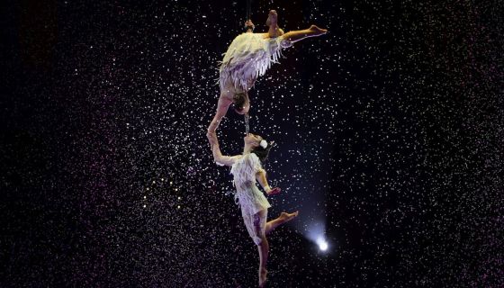 Цирк Влада Гончарова. Шоу «Балаган»