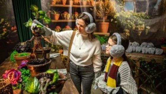 Выставка «Тайны Хогвартс»