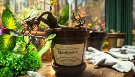 Выставка «Тайны Хогвартс»