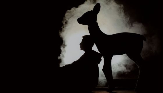 Спектакль «Биография из леса»