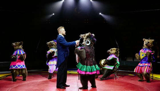 Цирк Филатовых. Шоу «Нашествие медведей»
