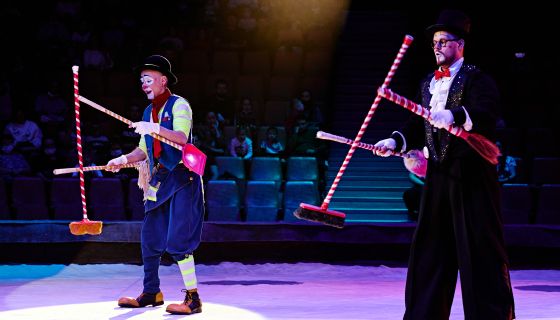 Цирк Филатовых. Шоу «Нашествие медведей»