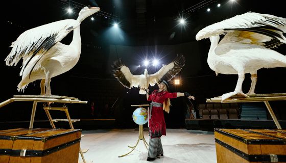 Цирк Филатовых. Шоу «Нашествие медведей»