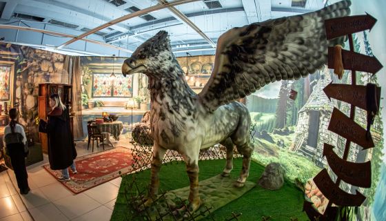 Выставка «Тайны Хогвартс», Тобольск