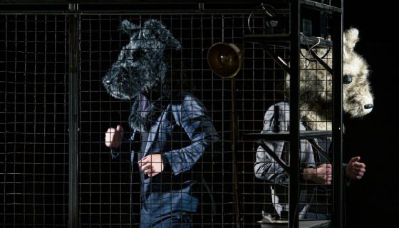 Спектакль «Записки сумасшедшего»