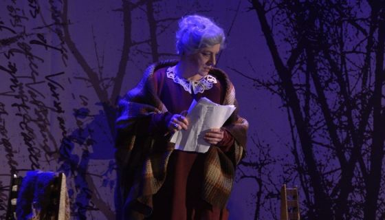 Спектакль «Фаина. Птица, парящая в клетке»