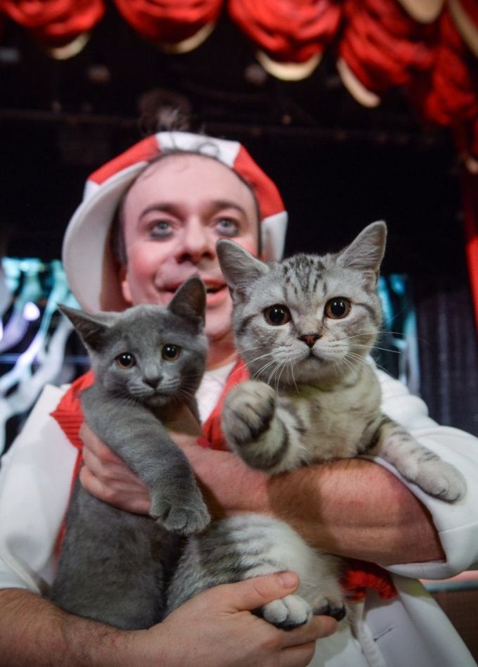 Дмитрий Куклачёв. Котобум